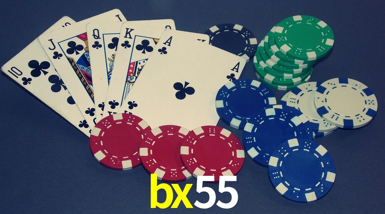 Experiência VIP bx55
